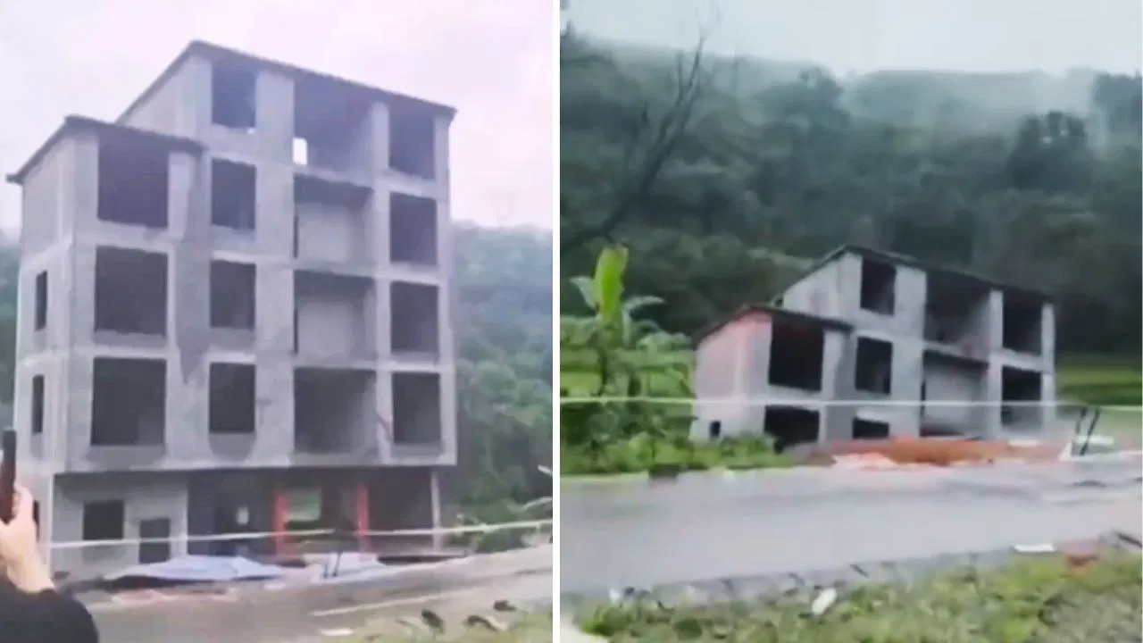 Viral Video:
