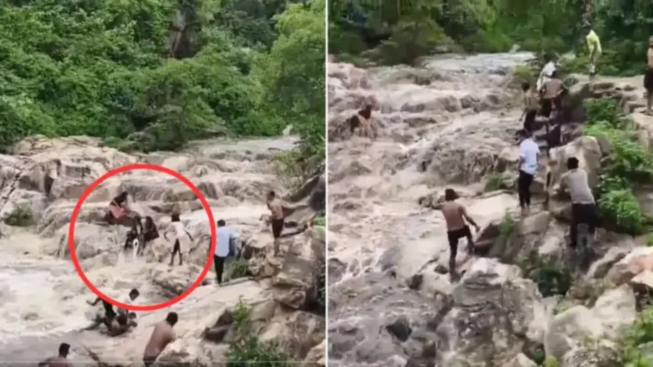 Viral Video