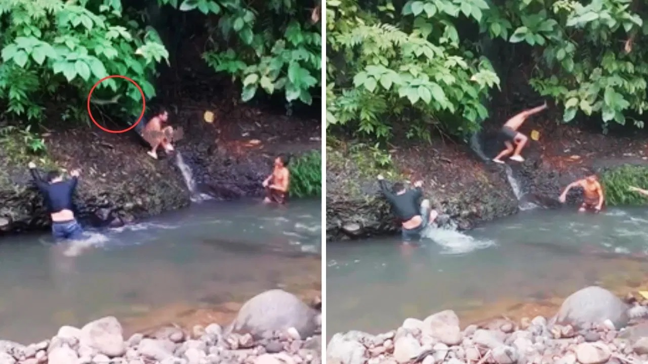 Viral Video