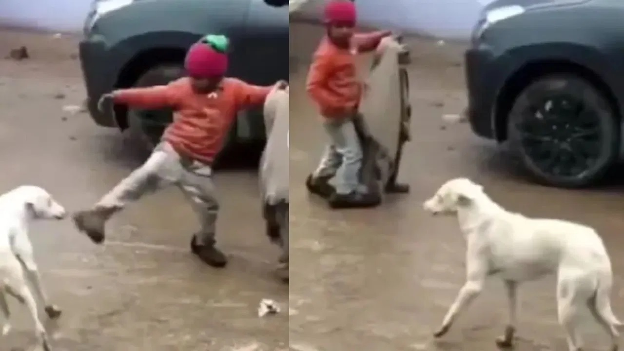 Viral Video