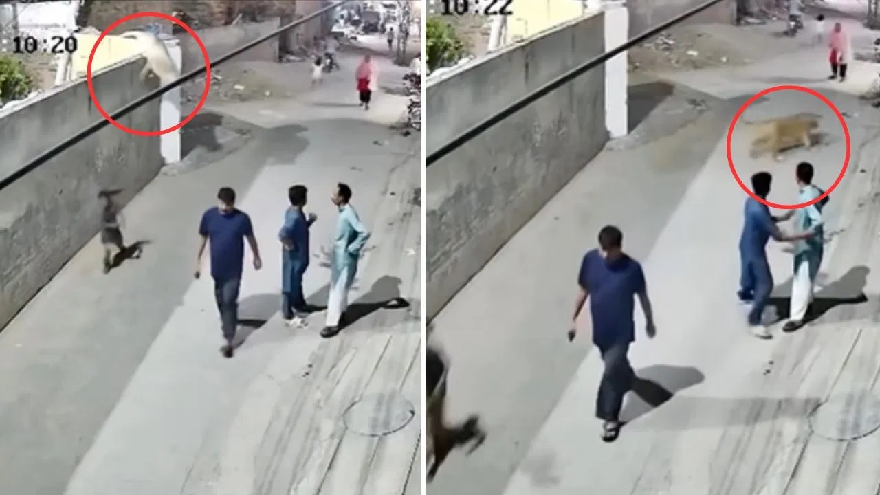 Viral Video