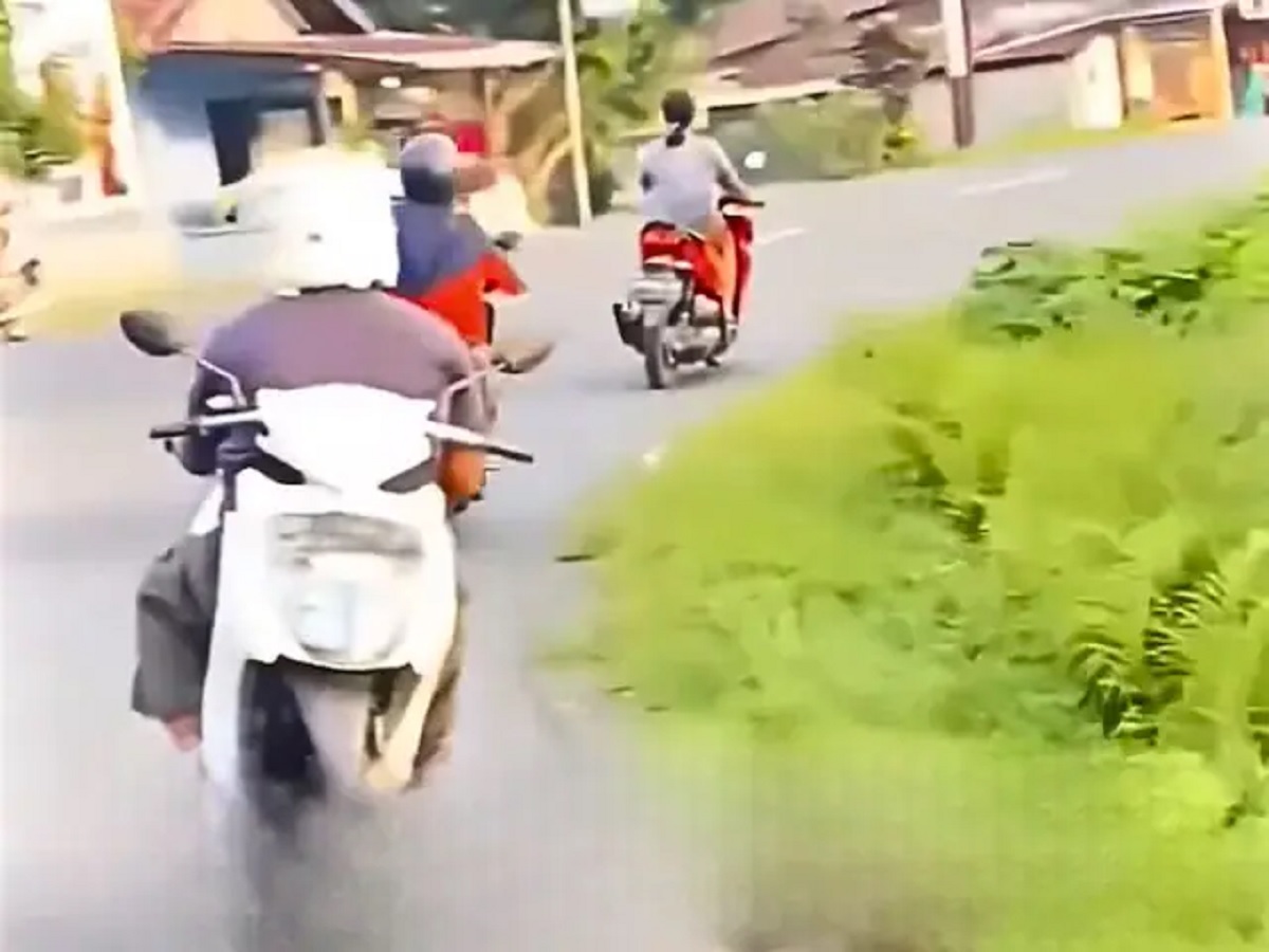 Viral Video