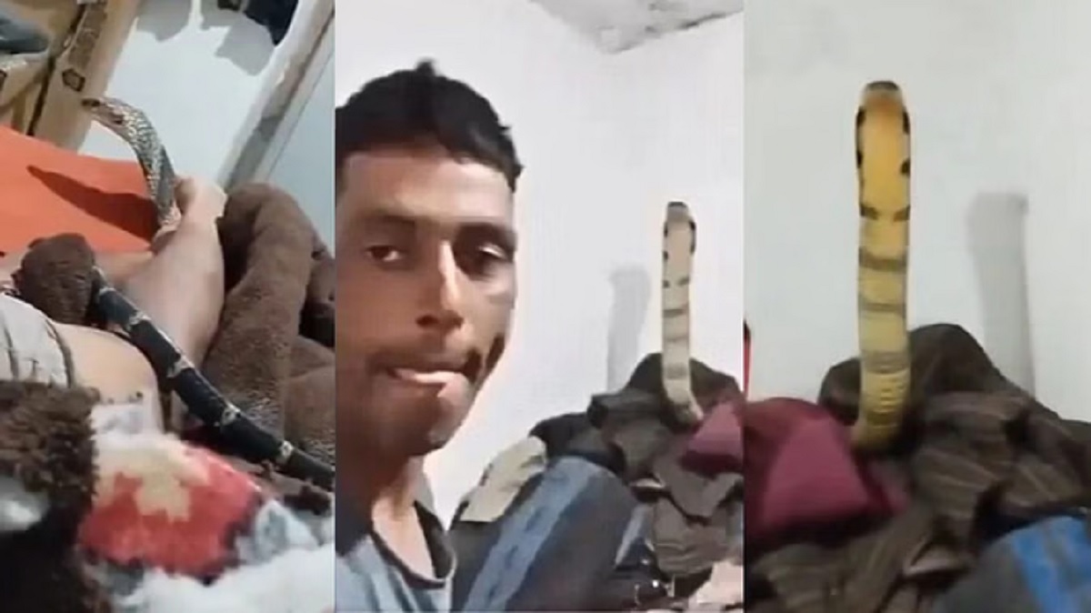 Viral Video