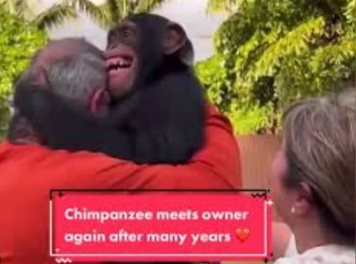 Viral Video