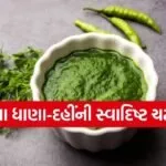 Coriander chutney