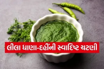 Coriander chutney