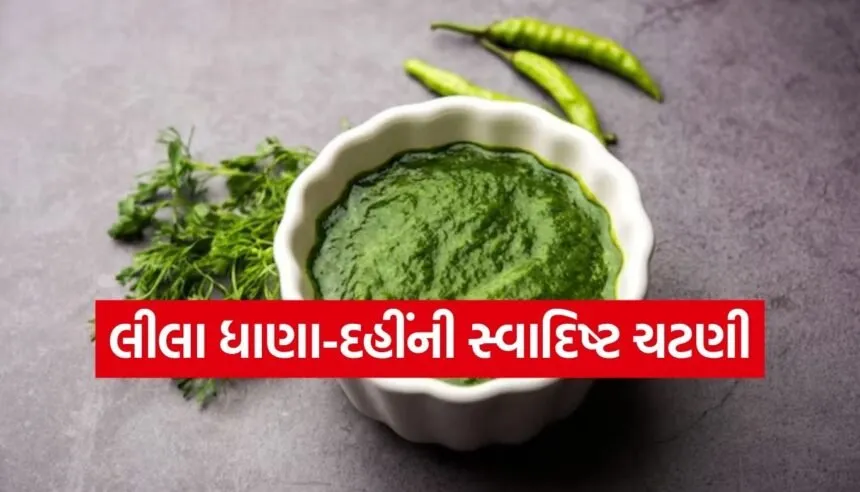 Coriander chutney