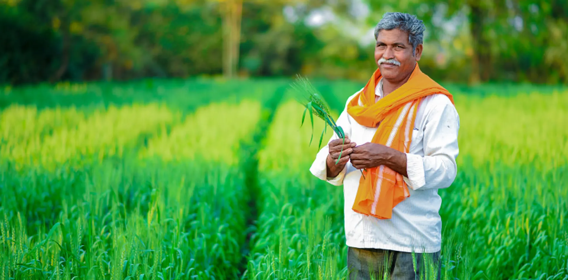 PM Kisan 23rd Installment: શું મે કે જૂનમાં આવશે ૨૩મો હપ્તો? 2 PM Kisan digital agriculture 1
