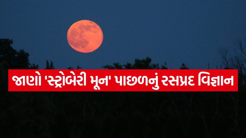 Strawberry Moon 2806