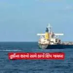 Turkish weapons hijacked2